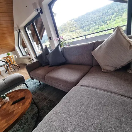 Miu's Roof Appartement Alpirsbach