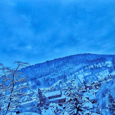 Miu's Roof Apartment