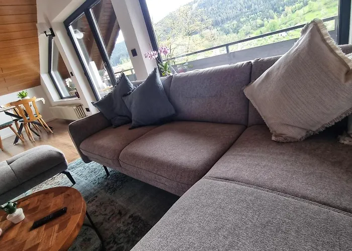 Miu's Roof Apartment Alpirsbach